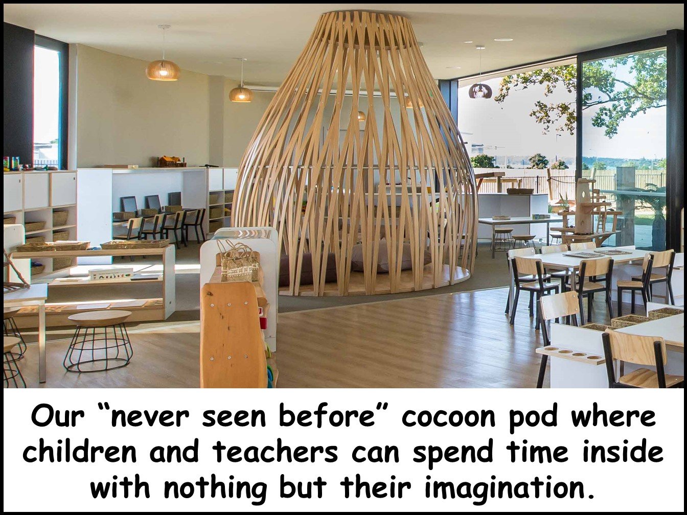 CC cocoon 1